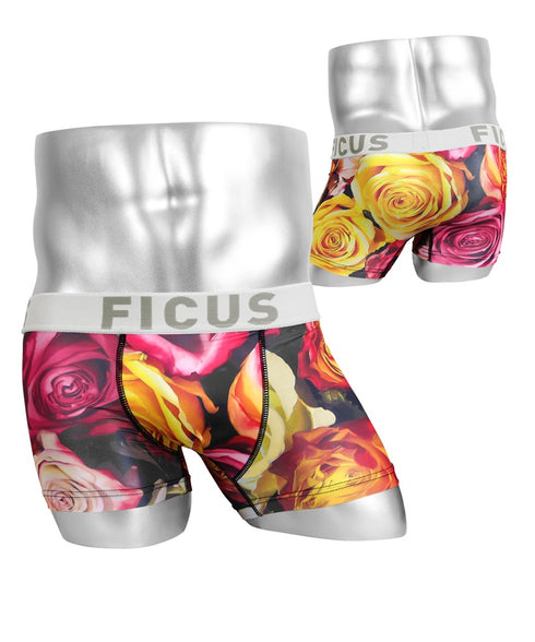 FICUS フィークス variation5 メンズ ボクサーパンツ【メール便】|下着 おしゃれ 人気 クリスマス プレゼント 彼氏
