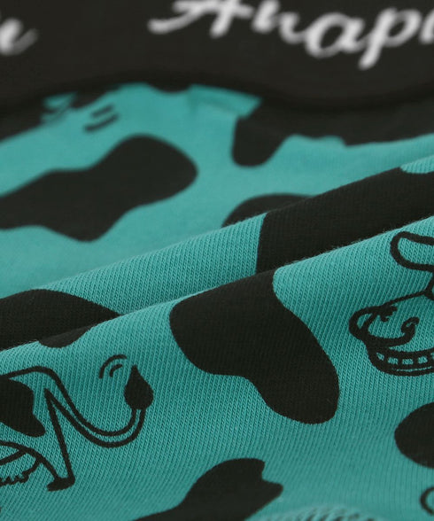 アナパウ Anapau メンズボクサーパンツ 【メール便】