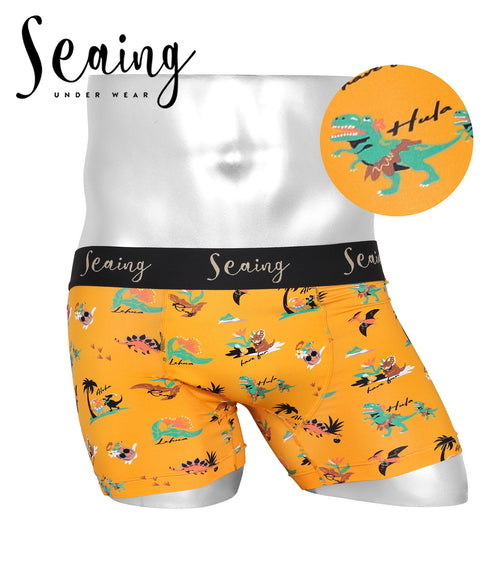 シーング Seaing Seaing1 メンズボクサーパンツ 【メール便】