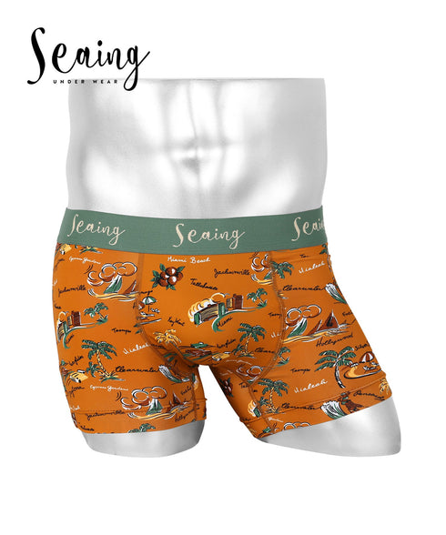 シーング Seaing Seaing1 メンズボクサーパンツ 【メール便】