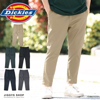 Dickies TC stretch ankle easy Pants