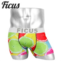 FICUS フィークス ボクサーパンツ メンズ パンツ 男性 下着 ブランド アンダーウェア ボクサーブリーフ COLOFRUITS (fcg071901) 彼氏 夫 息子 プレゼント 通販