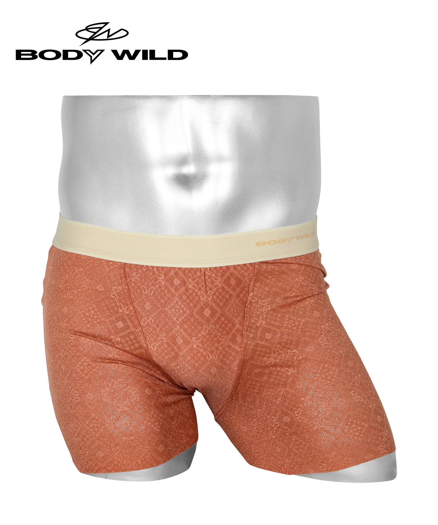 グンゼ GUNZE BODY WILD e-BOXER ジェンダーニュートラル メンズ グンゼ GUNZE BODY WILD e-BOXER ジェンダーニュートラル メンズ